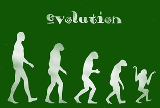 生き物は一体どうやって進化するのか？なぜ進化するのか？進化するためには非常に長い時間がかかる？！